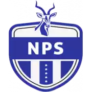 Ngezi Platinum