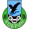FC Kobrin