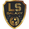 LS Galaxy