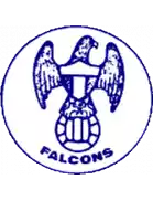 Toronto Falcons