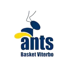 Basket Viterbo Ants