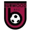 Burwood AFC