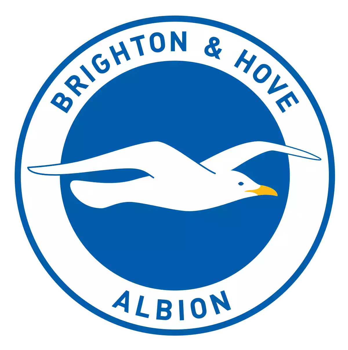 Brighton & Hove Albion (Raykozaki)