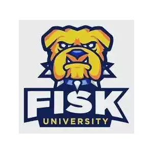 Fisk Bulldogs