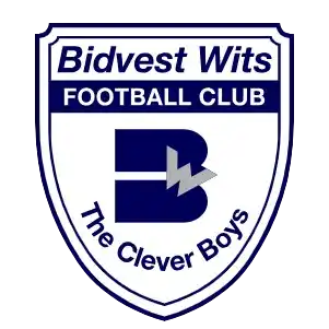 Витватерсрандский университет