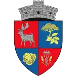 Socodor