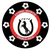 Unirea Bascov