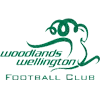 Woodlands Wellington FC
