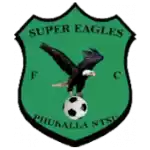 Super Eagles