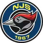 Nurmijarven Jalkapalloseura (Women)