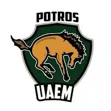UA Estado de Mexico