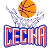 Чечина