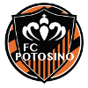 Potosino