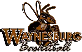 Уэйнсбург Йеллоу Джекетс (жен)