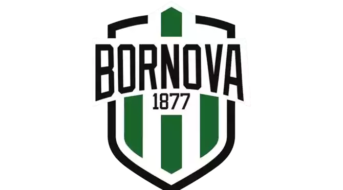 Viven Bornova FK
