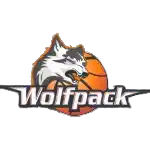 BMS Herlev Wolfpack