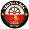 Trefelin