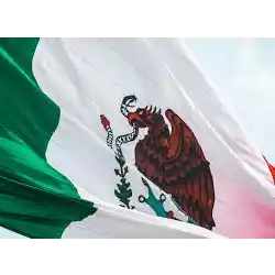 UP Mexico