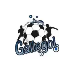 CD Gallegol