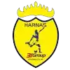 Harnas 31
