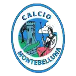 Đội bóng Calcio Montebelluna 1919