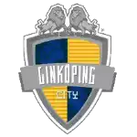 Linkoping City