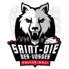 Saint Die des Vosges (Ж)