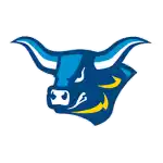 Alfred State Pioneers