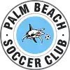 Palm Beach Sharks