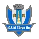 CSM Targu Jiu
