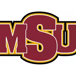 Midwestern State Mustangs
