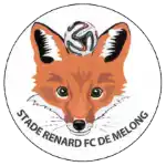 Đội bóng Stade Renard Melong