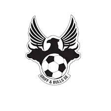 Грифф Буллз СЕ (19)