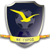 Vyborzhanin Gorod (Youth)