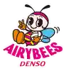 Denso Airybees Nữ