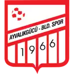 Ayvalikgucu Belediyespor