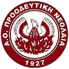 Proodeftiki