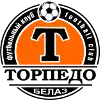 Torpedo-BelAZ II