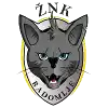 ZNK Radomlje (F)