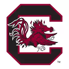 Đội bóng đá Nam Carolina Gamecocks