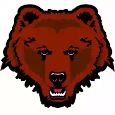 Brown Bears