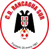 Rancagua Sur