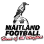 Мейтленд (жен)