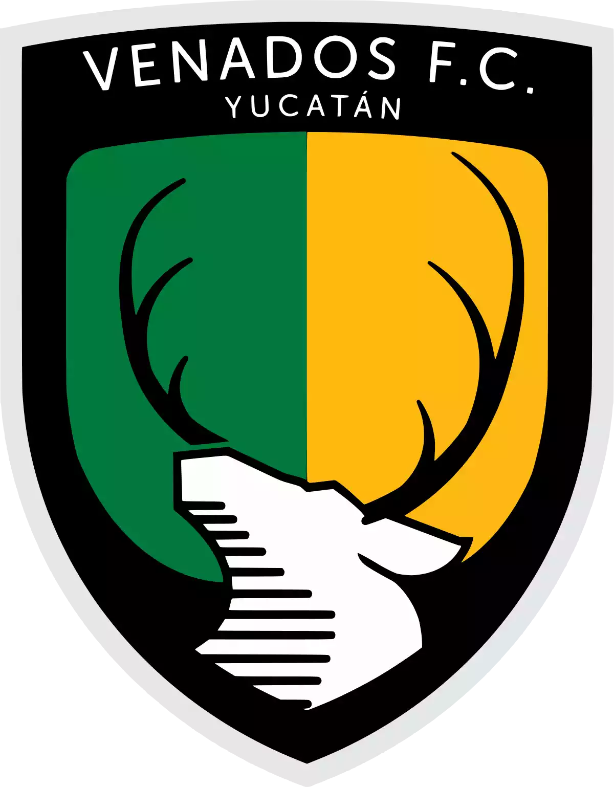 Cantera Venados