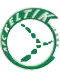 AFC Keltik