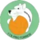 Норматемпо Торино (жен)
