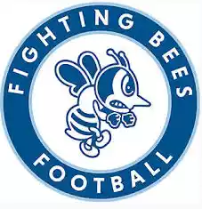 Đội bóng nữ Saint Ambrose Bees