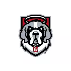 D'Youville Saints