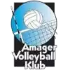 Amager 2