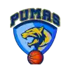 Pumas Puero Montt